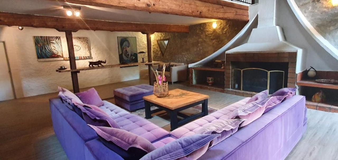 Gite de 420 metres carres dans château l'ange au violon jusqu'à 13 couchages Conques-sur-Orbiel Extérieur photo